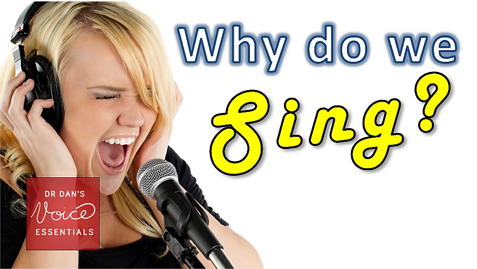 Why Do You Sing?